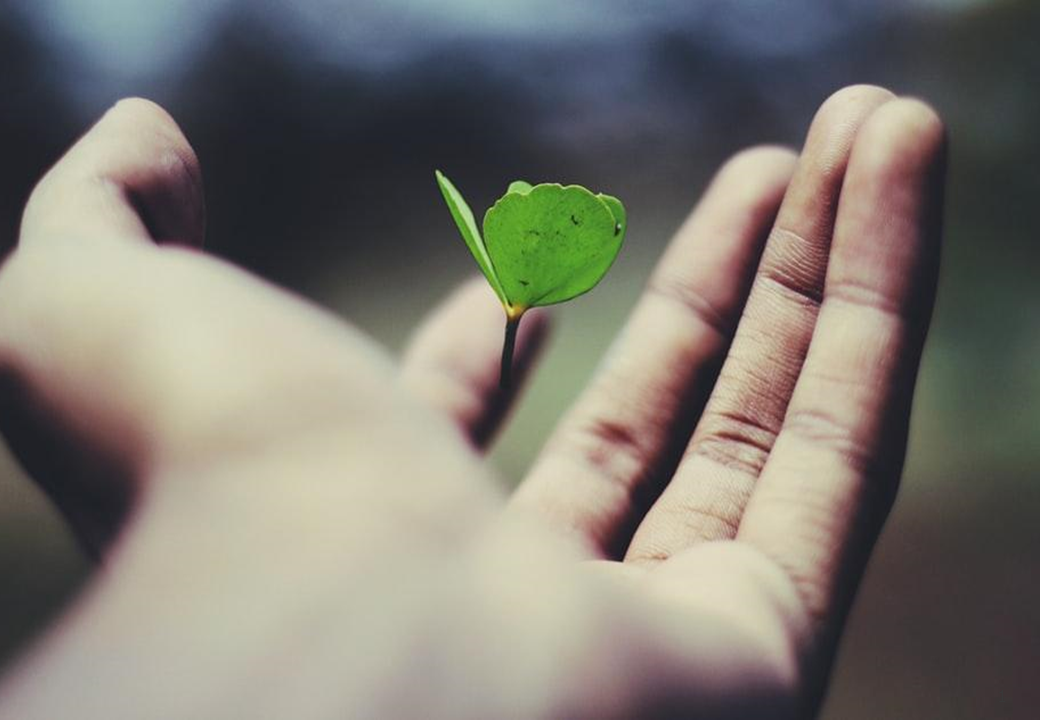 2025_Pharma CVC Investments Trends